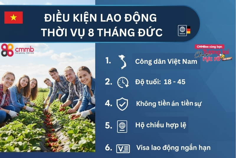 Điều kiện tham gia chương trình lao động thời vụ Đức